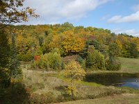 Fall2018-09