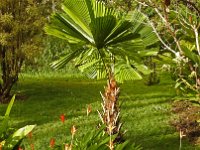 Hawaii2018-009