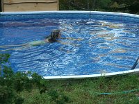 Mary Alice usually does 50 laps a day.